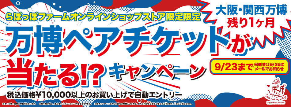 20250912_campaign.jpg
