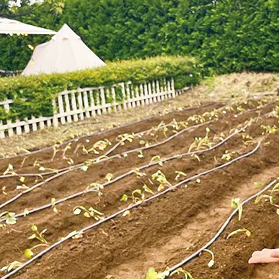 イベントの様子