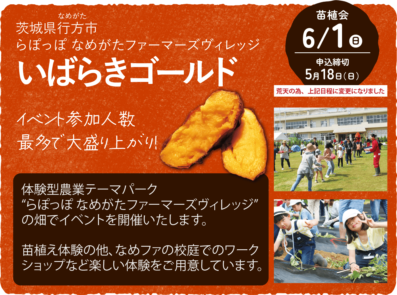 茨城県行方市 いばらきゴールド 苗植会5/10(土) 申込締切4/27(日)
