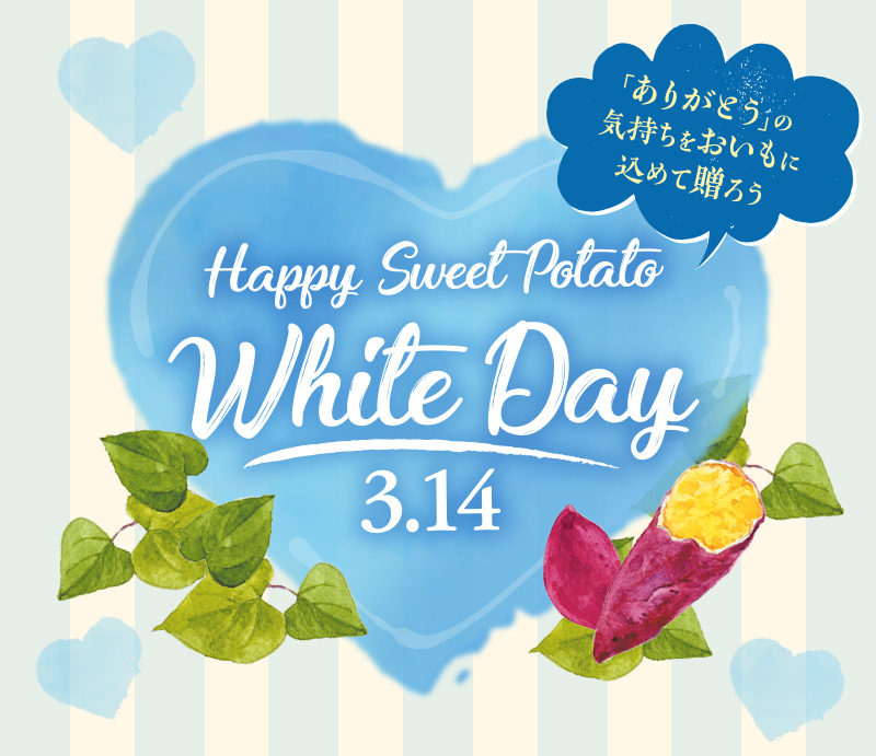 Happy Sweet Potato White Day 3.14