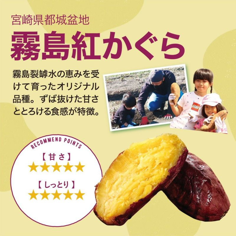 Amazon.co.jp: さつまいも切苗 品種：紅あずま 約50本【品種で