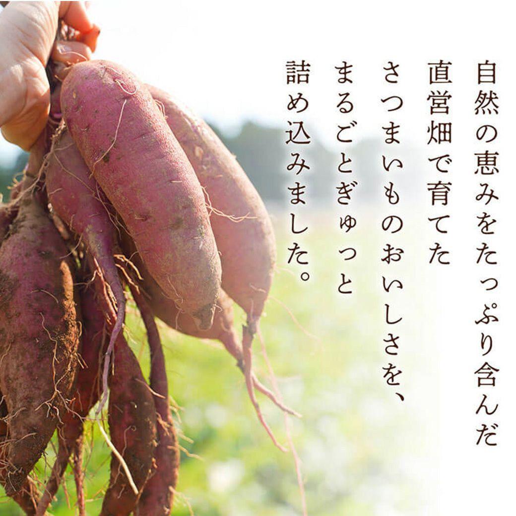 熟成蔵 熟成干し芋 スライス 80g 国産ほしいも