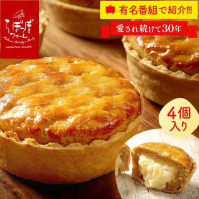 窯出しポテトアップルパイ（4個入）