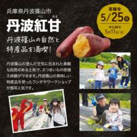 おいも株オーナー制度2025苗植会【丹波紅甘】