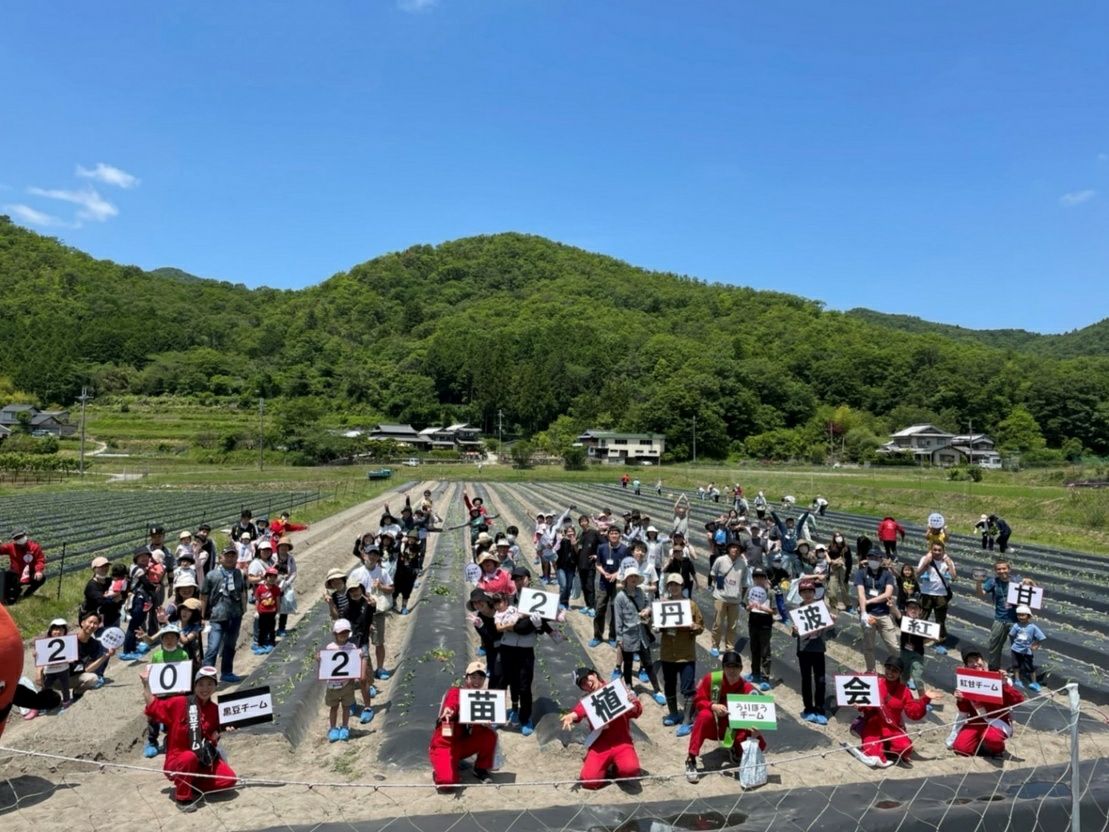 おいも株オーナー制度2025苗植会【丹波紅甘】