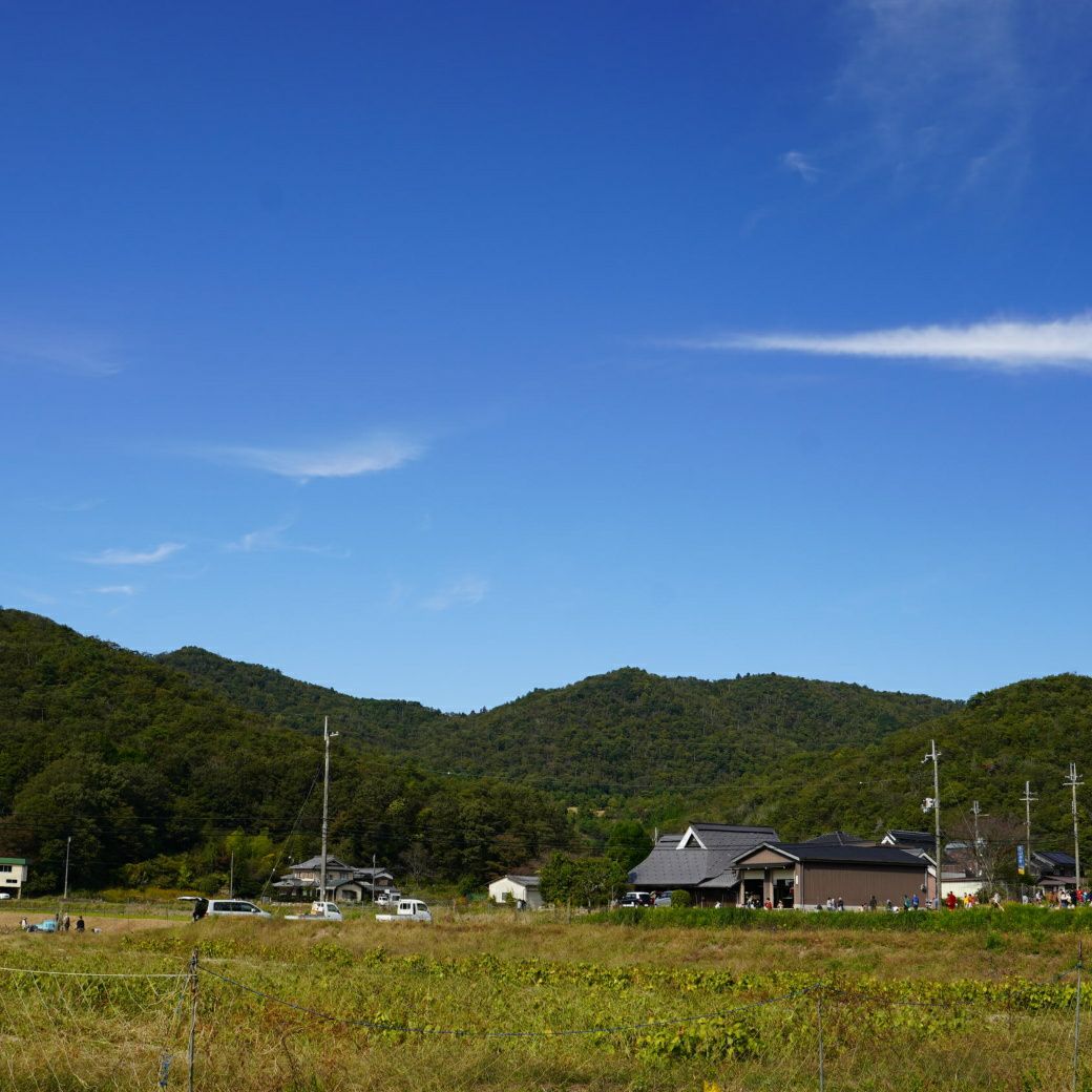 おいも株オーナー制度2025苗植会【丹波紅甘】