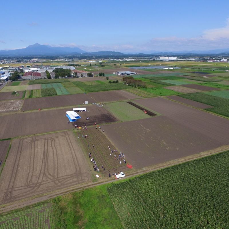 おいも株オーナー制度2025苗植会【霧島紅かぐら】