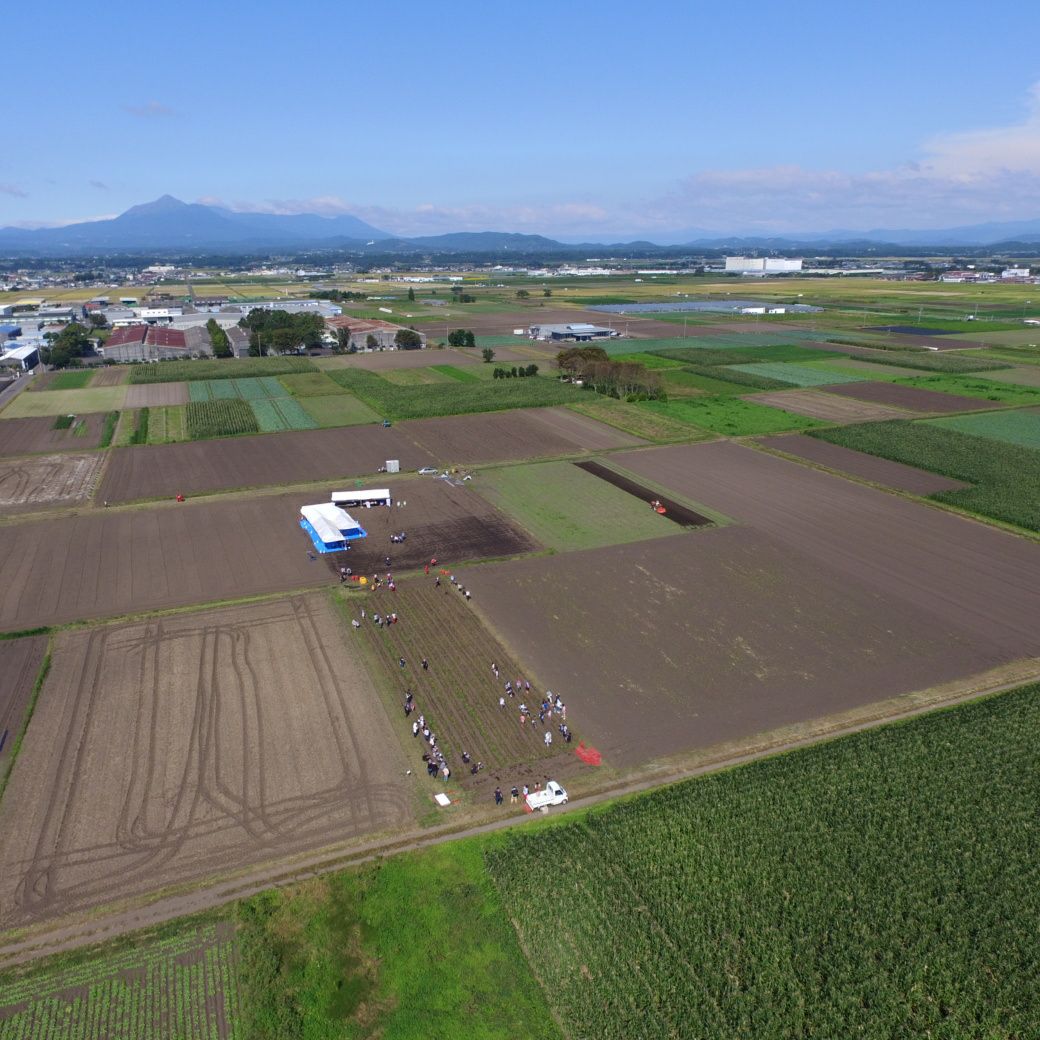 おいも株オーナー制度2025苗植会【霧島紅かぐら】