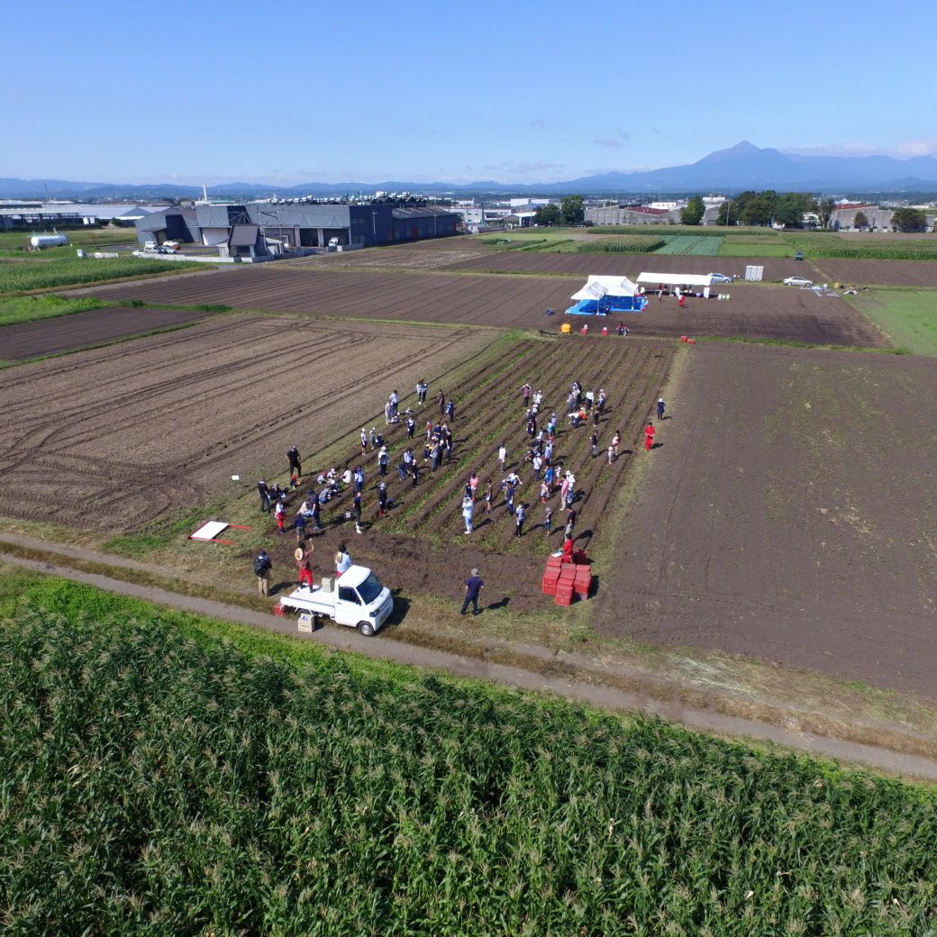 おいも株オーナー制度2025苗植会【霧島紅かぐら】