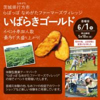 おいも株オーナー制度2025苗植会【いばらきゴールド】