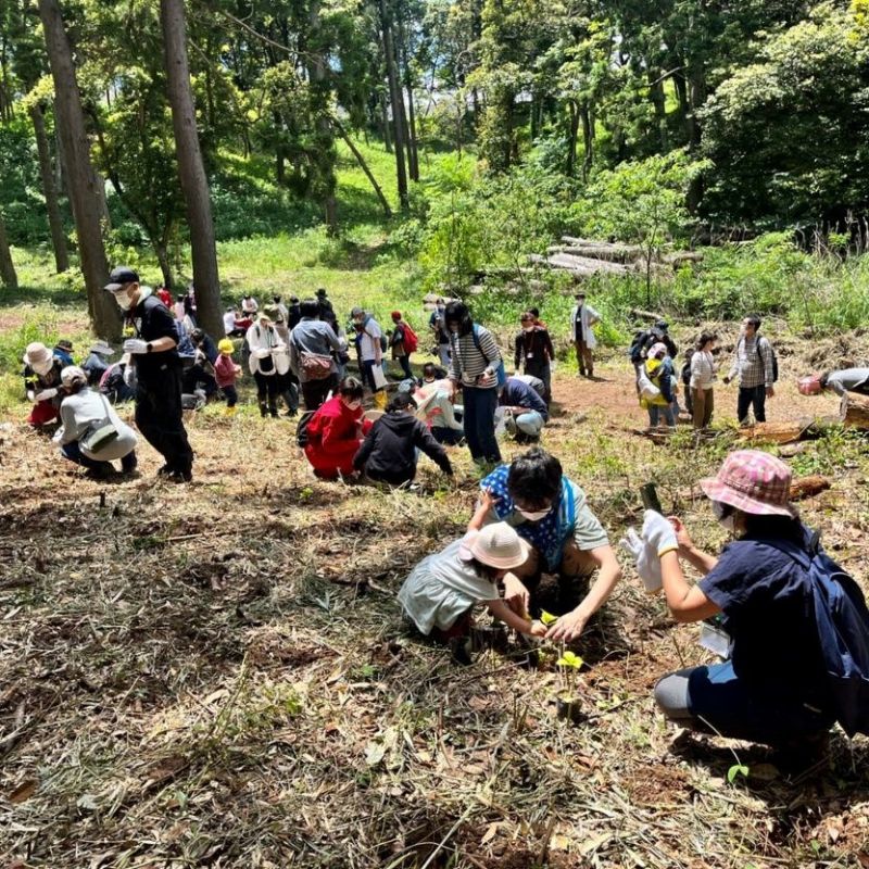 おいも株オーナー制度2025苗植会【いばらきゴールド】