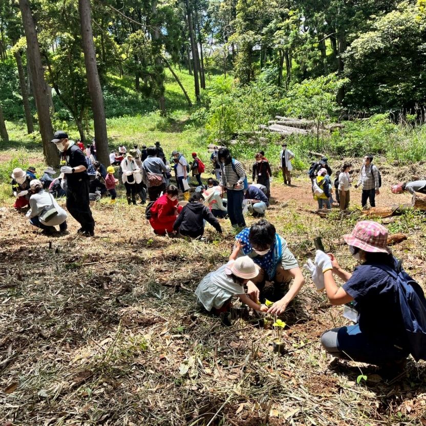 おいも株オーナー制度2025苗植会【いばらきゴールド】