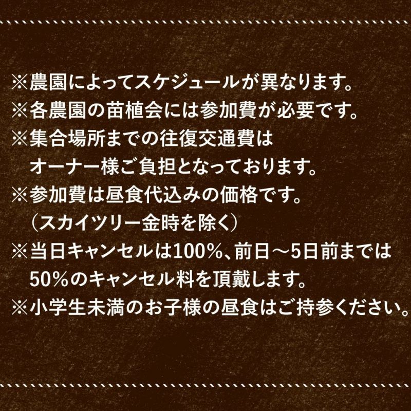 おいも株オーナー制度2025苗植会【いばらきゴールド】