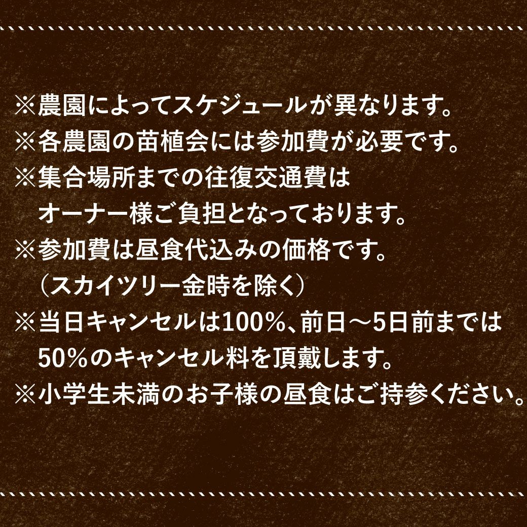おいも株オーナー制度2025苗植会【いばらきゴールド】