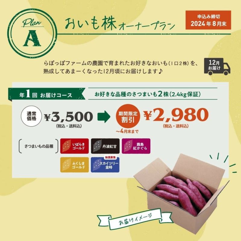 お芋さま専用 茨城県産 紅はるか 平干し 400g×1袋【ネコポス配送】｜甘藷農園