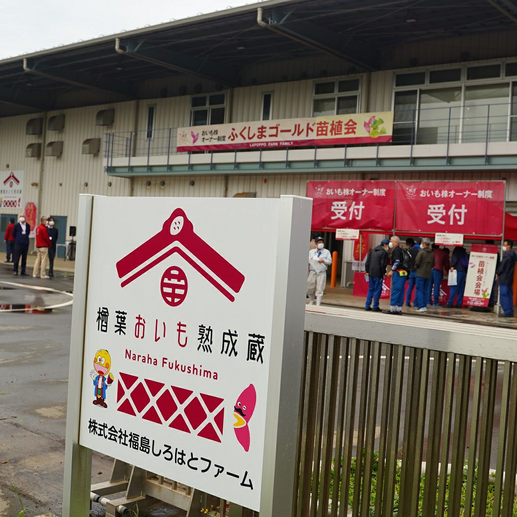 おいも株オーナー制度2025苗植会【ふくしまゴールド】