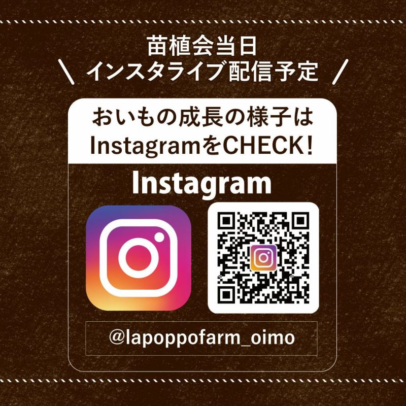 おいも株オーナー制度2025苗植会【ふくしまゴールド】