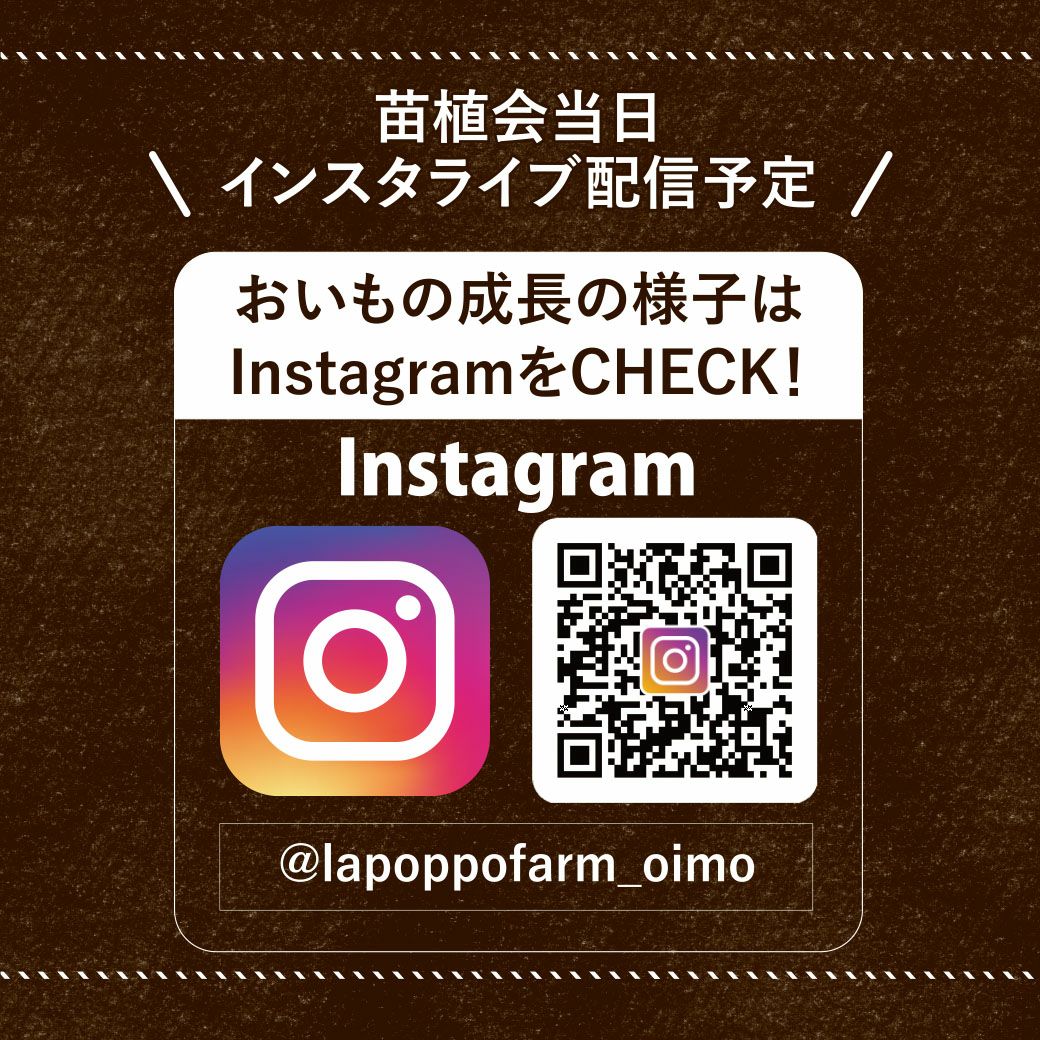 おいも株オーナー制度2025苗植会【ふくしまゴールド】