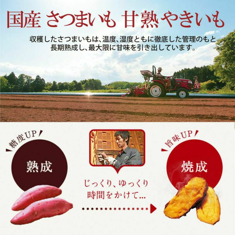 おいも蜜けんぴ(小) きな粉