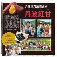 丹波紅甘