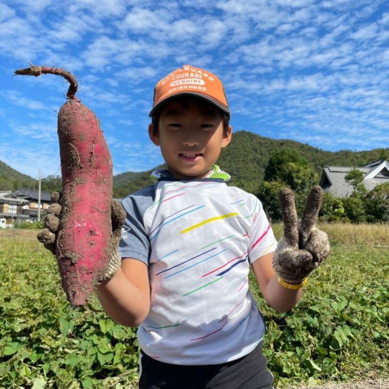 おいも株オーナー制度2025収穫祭【丹波紅甘】◇大人3000円・子ども2000