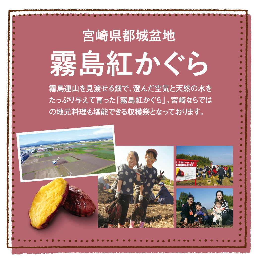 霧島紅かぐら