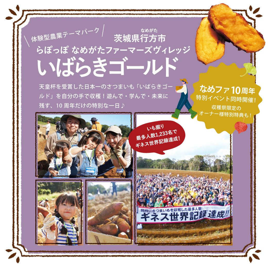 いばらきゴールド