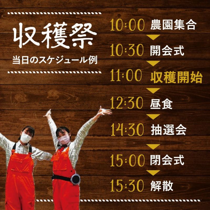 スケジュール