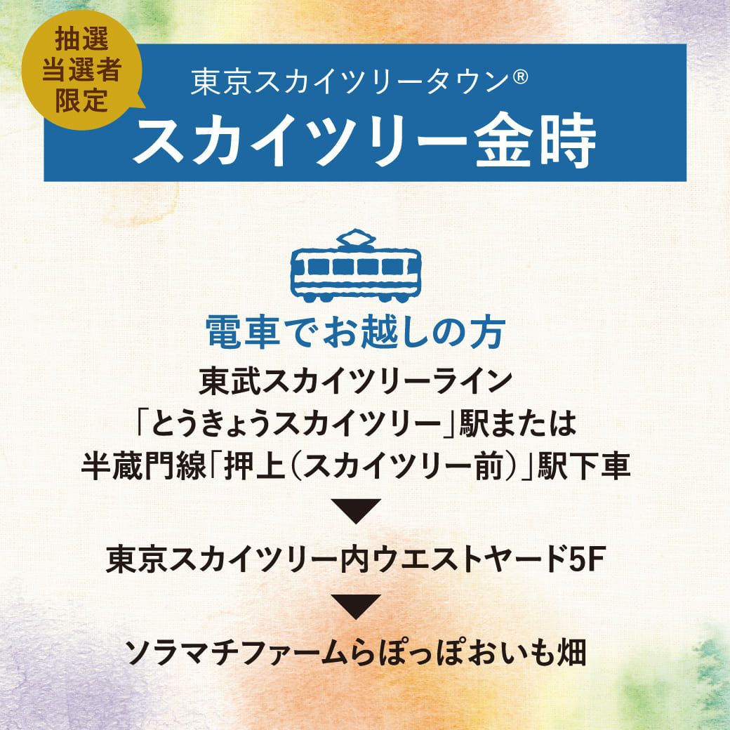 スケジュール