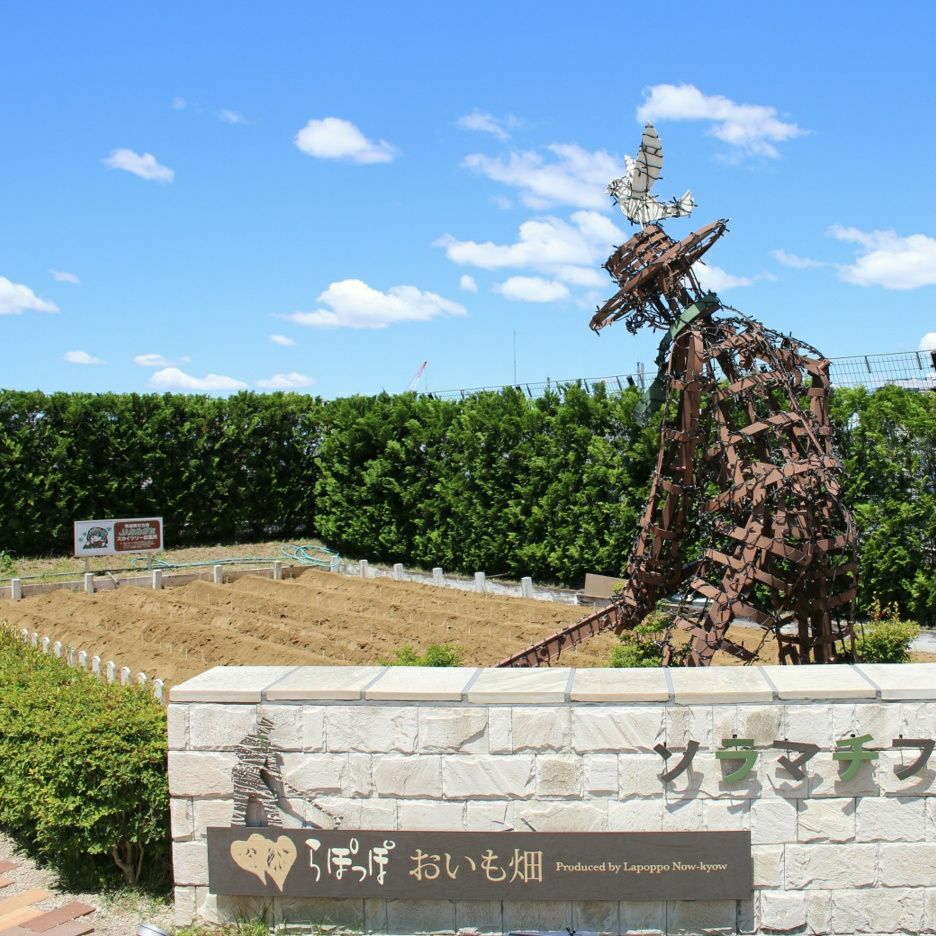 おいも株オーナー制度2025収穫祭【スカイツリー金時】◇大人2600円