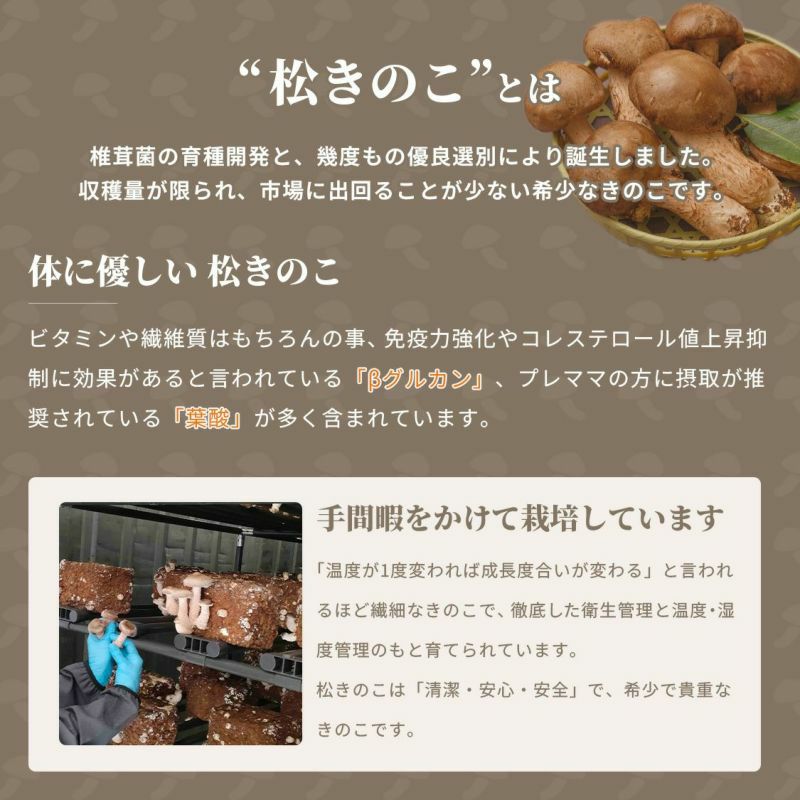 松きの子さん 万能だし 米米米キューブ米セット 国産米